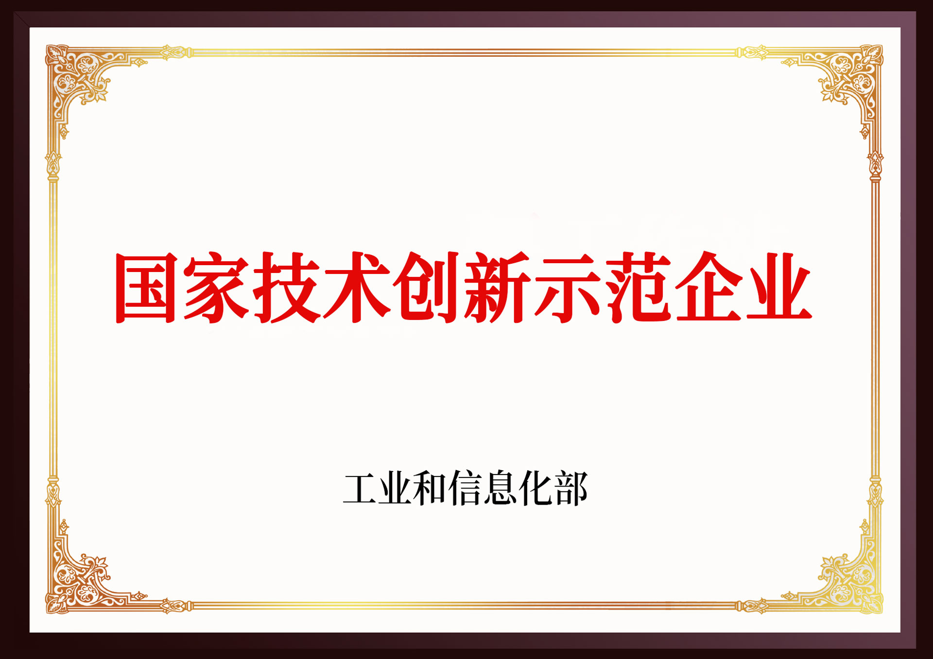 國家技術創新示范企業
